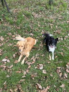 Demander une garde Demander une garde